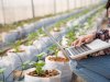 Pesquisa aponta fatores-chave para ampliar a agricultura 4.0 no Brasil
