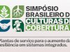 Simpósio Brasileiro de Culturas de Cobertura começa na próxima semana