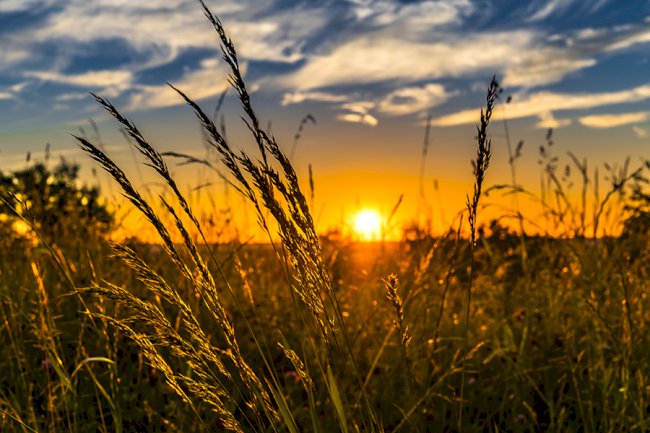 O agro nos próximos quatro anos