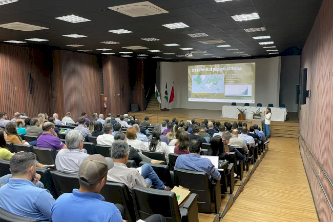 Sustentabilidade e classificação da soja estão entre os desafios do setor produtivo