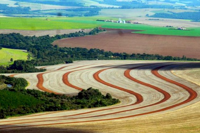 Agricultura sustentável, regenerativa e bem explicada