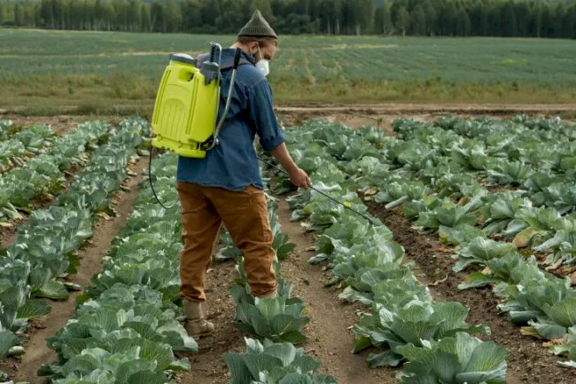 Tiofanato-metílico: fungicida importante para o manejo integrado de doenças de plantas e para a sustentabilidade da agricultura brasileira