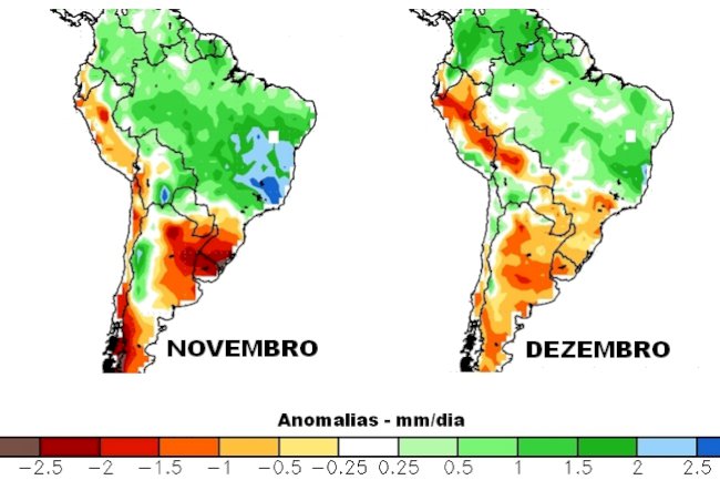 Primavera: tempo de renascer