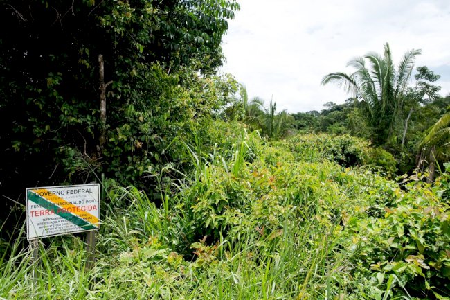 BNDES avalia concessão ambiental com pagamento para conservação