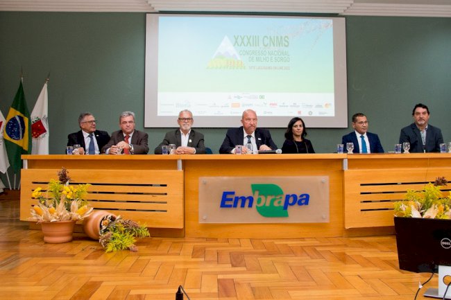 Aliança entre cadeias de grãos e de proteína animal é destaque na abertura do Congresso Nacional de Milho e Sorgo