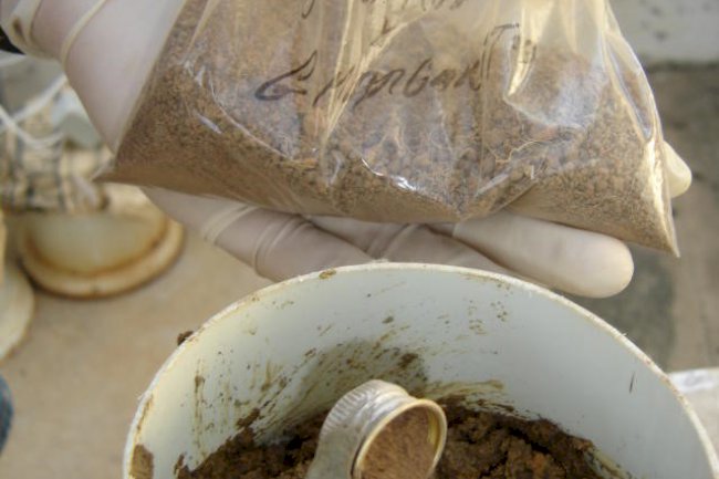 Como garantir a eficácia do bioinsumo