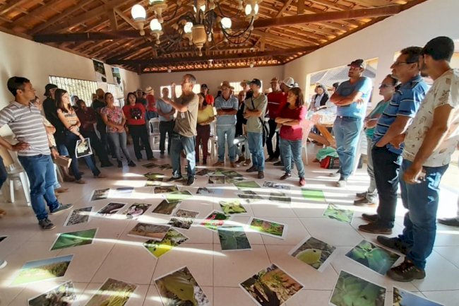 Manejo ecológico de insetos busca impulsionar produção agrícola sustentável