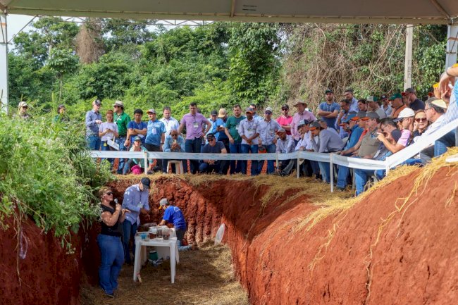 Quando quantidade e qualidade rimam com oportunidade e sustentabilidade