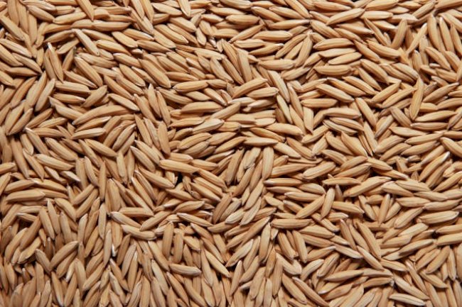 Caberá à ciência o aumento da produção de alimentos criando gigantescos refúgios ambientais?