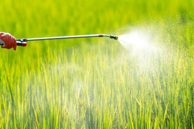 A diferença entre perigo e risco de pesticidas