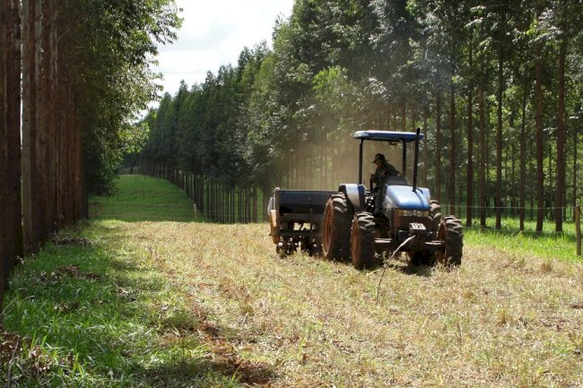 Tecnologias aumentam eficiência do uso de nutrientes no campo