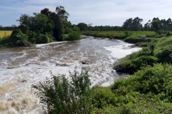 Epagri e Casan se unem para “cultivar água” na bacia do rio Piçarras, em SC