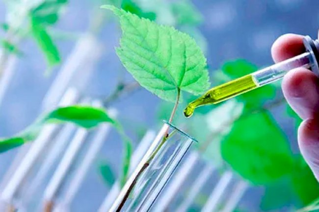 Química verde e biotecnologia: bioenergia, bioprodutos e dispositivos sustentáveis