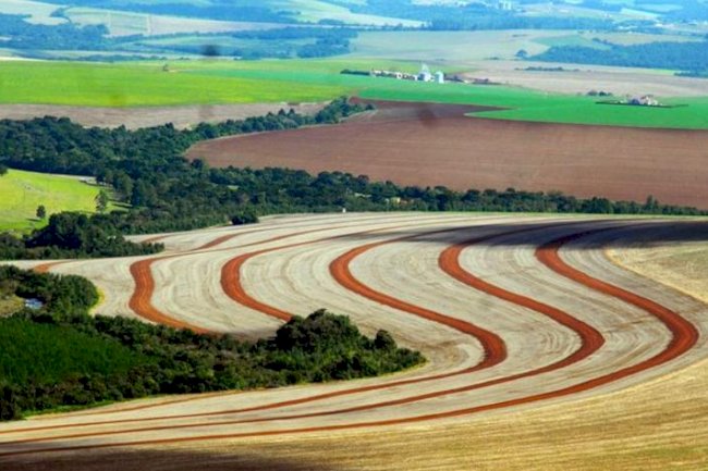 Agricultura conservacionista e as gerações futuras: caminhos entrelaçados