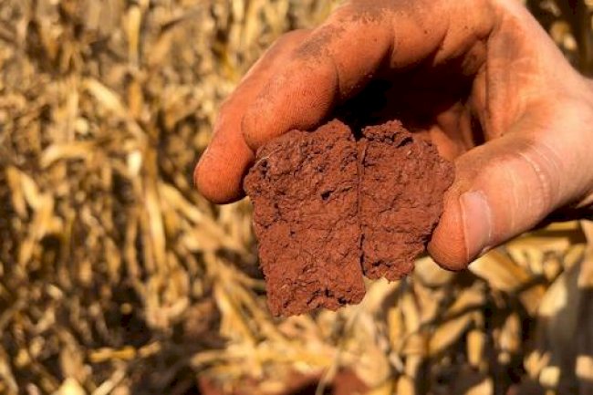 Estudo investiga mecanismos envolvidos na degradação do solo agrícola