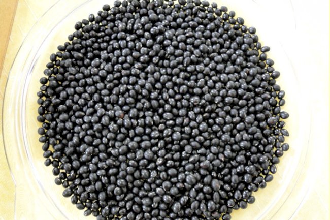 Soja preta - As propriedades funcionais da soja beneficiam a saúde dos seus consumidores