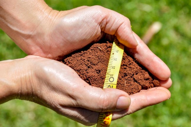 Nova regra aperfeiçoa o Zoneamento Agrícola de Risco Climático (Zarc)