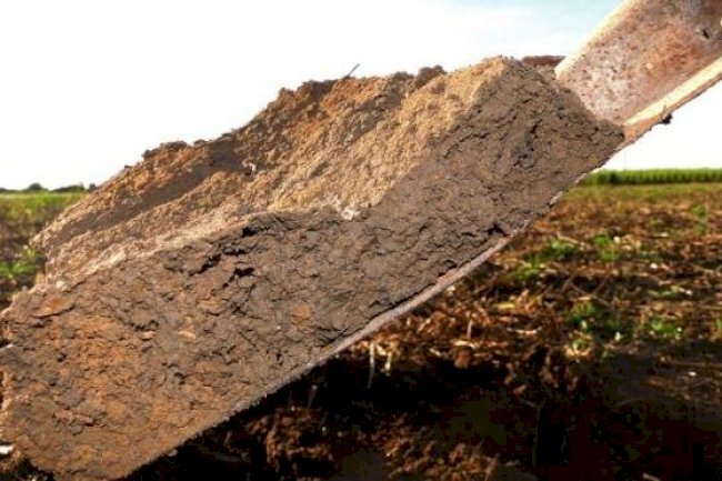 18º ENPDP mostra como a compactação do solo compacta também a produtividade