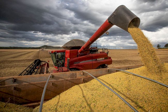 A safra precisa acontecer, para não emagrecer o país