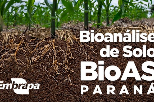 Tecnologia de bioanálise de solo é ampliada para o Paraná