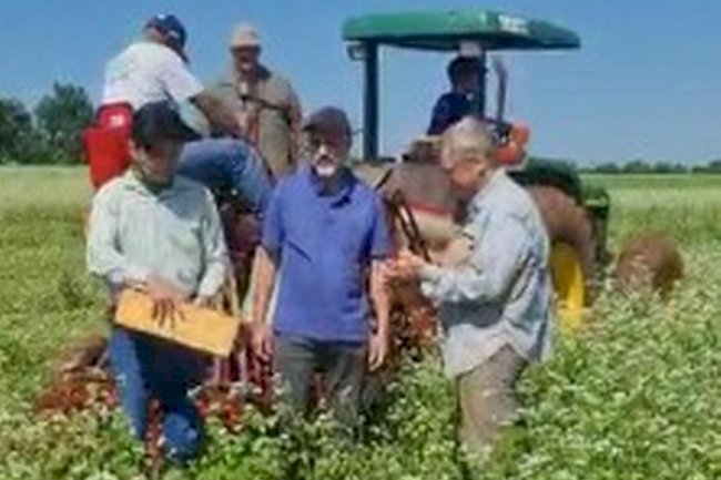 Sustentabilidade in loco e na prática