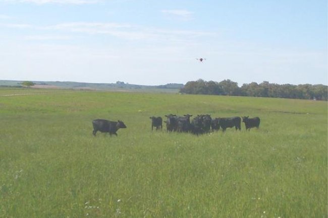 Agricultura de precisão pode melhorar o sistema ILP