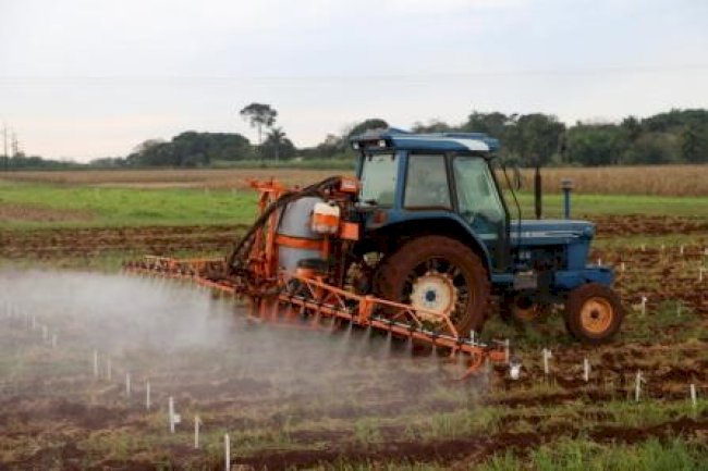 Processo regulatório e análise de risco ambiental de agrotóxicos no Brasil