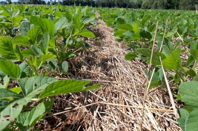18º ENPDP destaca relação solo-fertilidade-produtividade