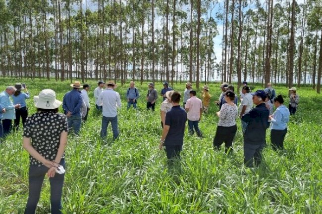 Embrapa mostra tecnologias de produção sustentáveis para diplomatas de dez países em visita ao Mato Grosso