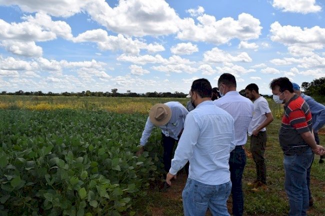 Técnicos do MME e dirigentes da Aprosoja Brasil conhecem pesquisa sobre remineralizadores de solo