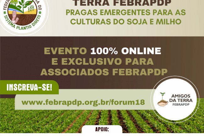 Web Fórum no dia 27 aborda manejo da cigarrinha e da mosca branca