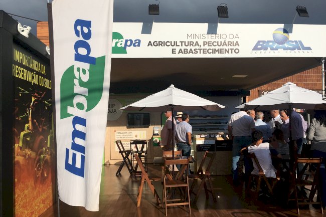 Racionalização de fertilizantes e diferentes usos da soja são destaques da Embrapa Soja na Expo Londrina 2022