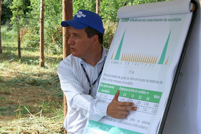 Situação atual do mercado de sementes de milho para a safra 2021/2022