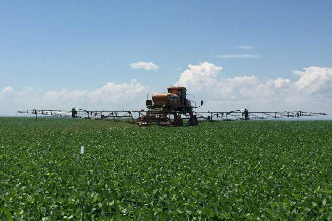 Lei dos Pesticidas ou PL do Veneno?