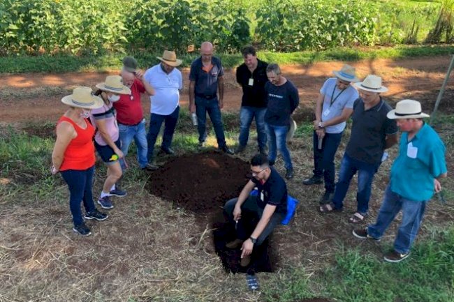 Dia de Campo mostra os benefícios do SPDH nas culturas da melancia e do aipim