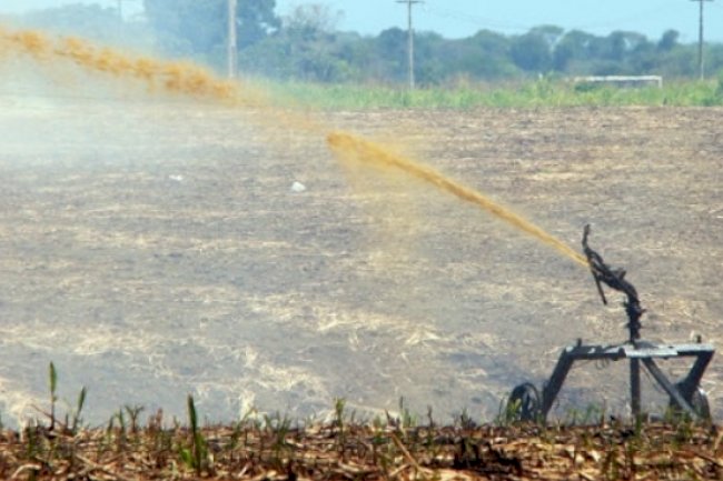 Cientistas desenvolvem tecnologia para transformar vinhaça em hidrogênio verde