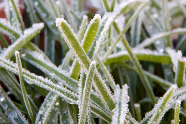 La Niña novamente pode favorecer a ocorrência de geadas em Mato Grosso do Sul