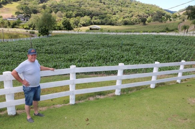 Produtor celebra bom resultado alcançado com sistema de irrigação em município gaúcho