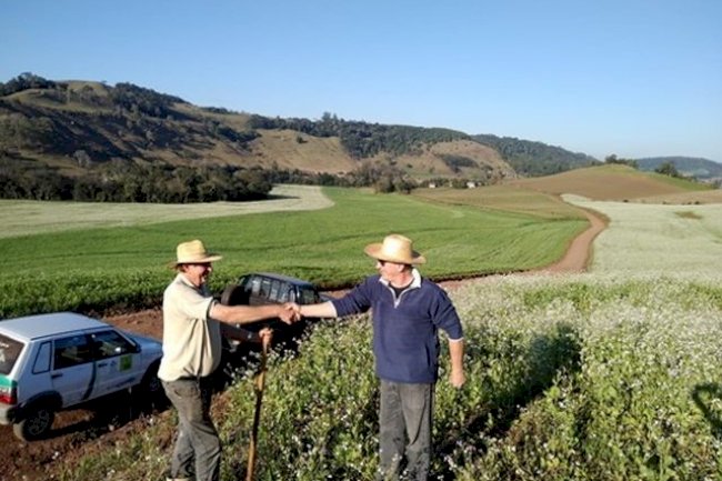 Solo e água integram os fundamentos para o sucesso do sistema produtivo agropecuário