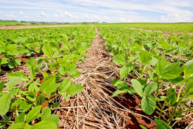 Hora de ser visionário