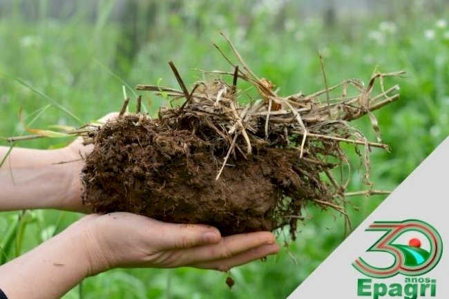 Epagri chega aos 30 anos ensinando a produzir e preservar o solo