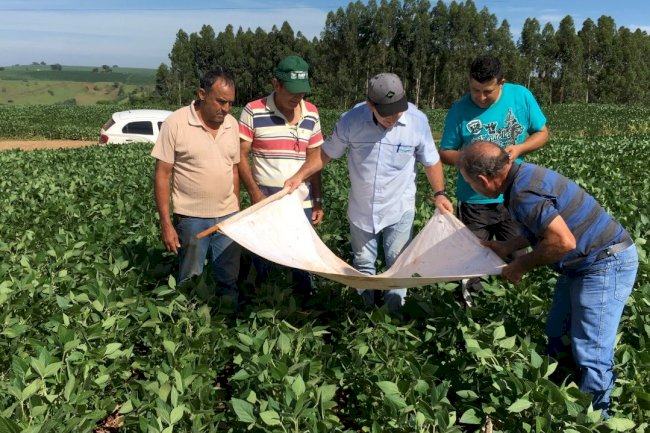 IDR-Paraná e Embrapa Soja apresentam resultados da adoção de boas práticas na produção da soja e inicia o Alerta Ferrugem