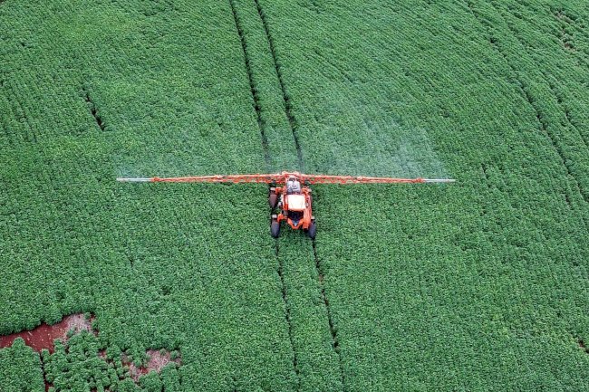 Novo decreto federal exige capacitação para aplicadores de agrotóxico