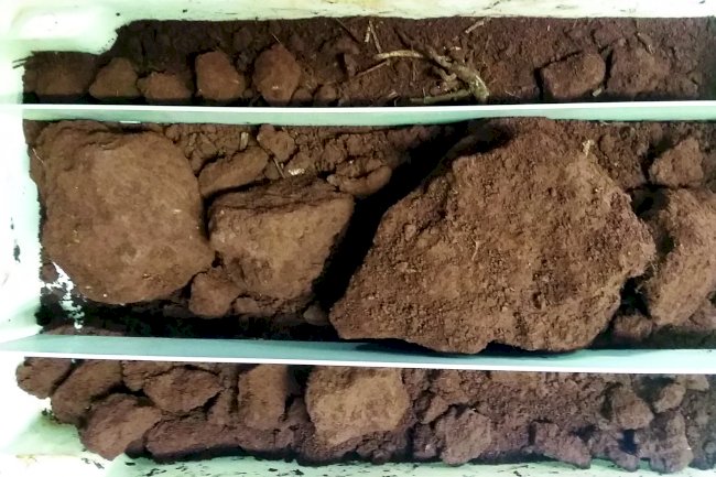 Embrapa Soja lança curso on-line sobre metodologia DRES