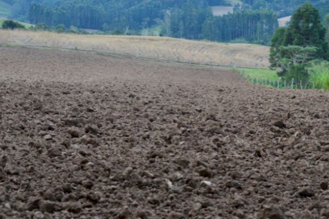 Sistema Solos da Epagri disponibiliza informações sobre este recurso natural em SC