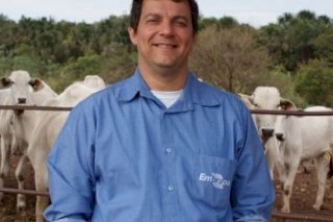 Oito bilhões de habitantes e subindo: algumas alternativas para termos alimentos para todos