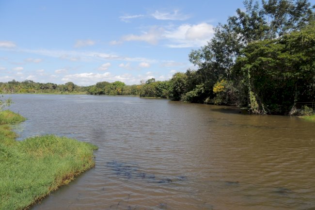 Publicação sistematiza experiências brasileiras de valoração e pagamento por serviços ambientais