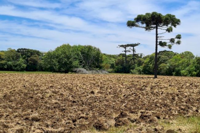 Pesquisa da Epagri usa drones para mapear solos e monitorar risco de perdas nas lavouras