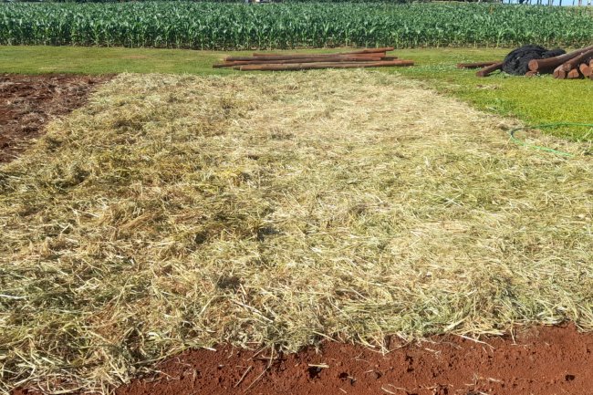 IDR-Paraná discute manejo da umidade do solo em lavouras anuais no Show Rural