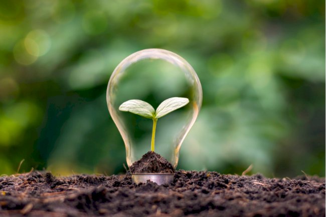 Pegada de carbono: taxação de produtos para ingresso na União Europeia